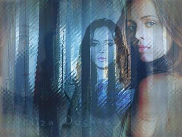 014.jpg