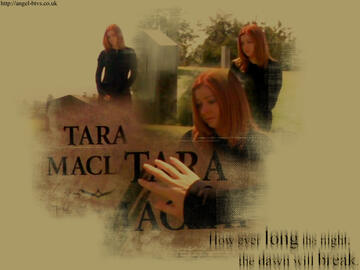 040.jpg