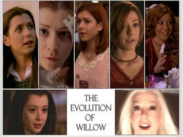 078.jpg