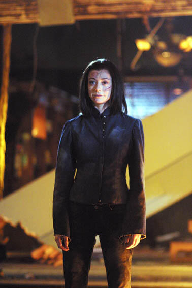 Willow